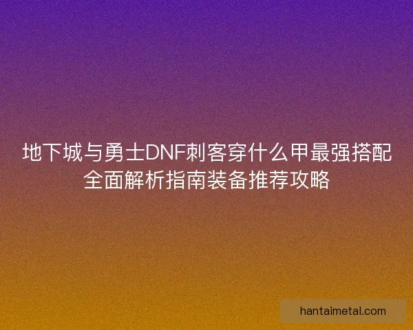地下城与勇士DNF刺客穿什么甲最强搭配全面解析指南装备推荐攻略